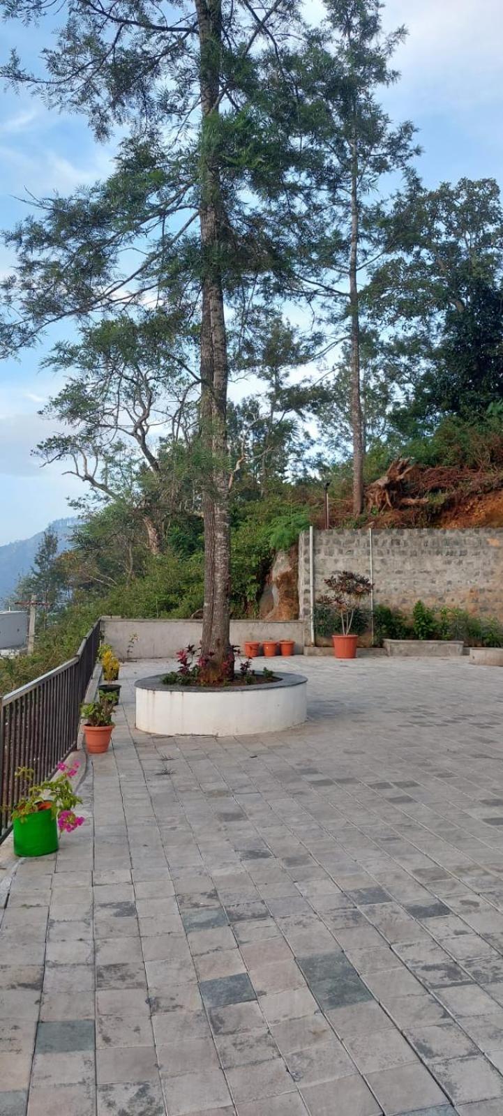 Hilltop In Greany Meadows Yercaud Exterior photo